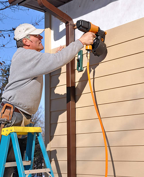 Best Custom Trim and Detailing for Siding  in Golden Valley, MN